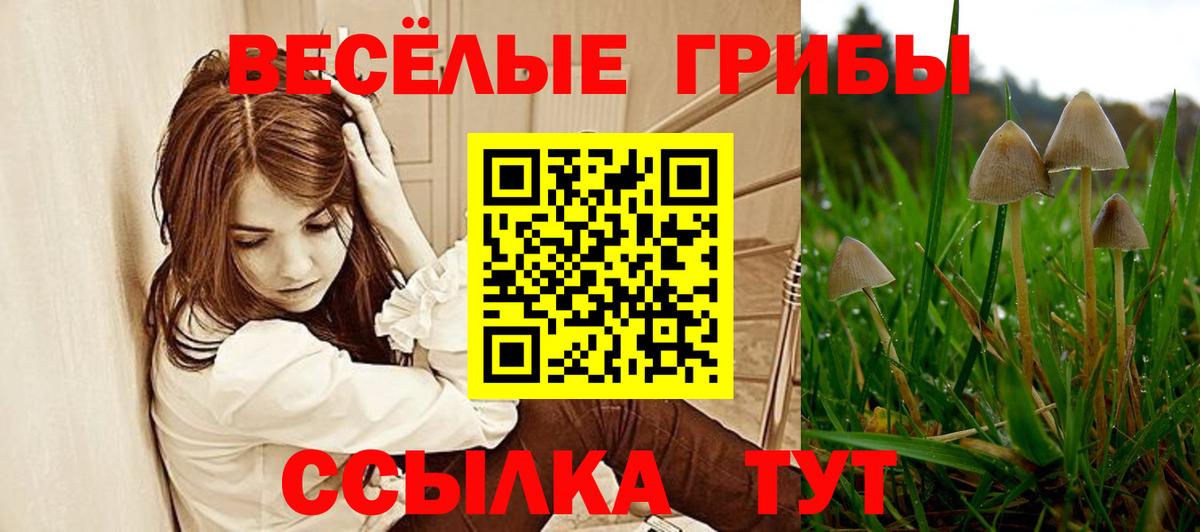 Галлюциногенные грибы Cubensis  Вход с VPN  Нефтекамск 